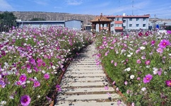 2012高清免费视频国语